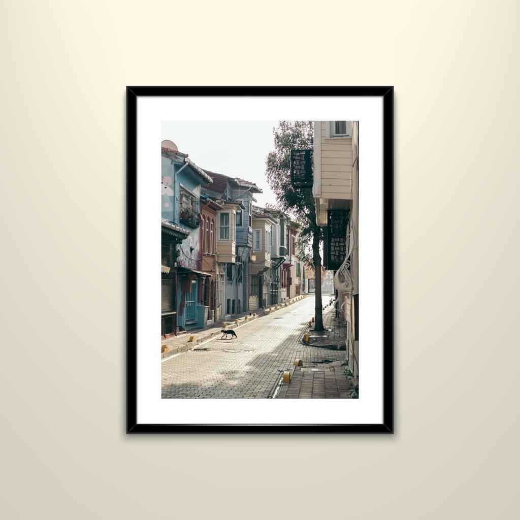 Фотография "Стамбульский котик, 2019"