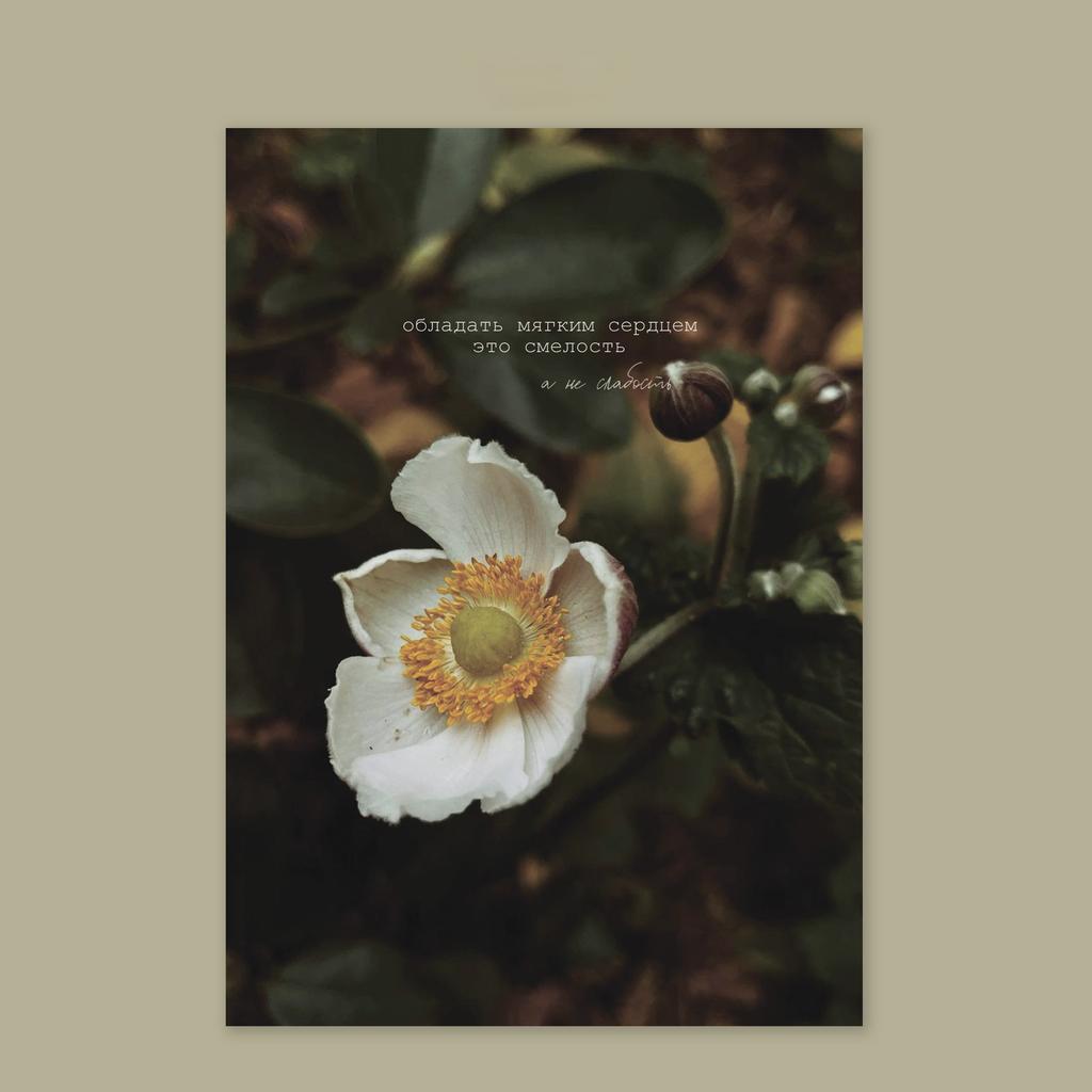 Открытка "Мягкое сердце"