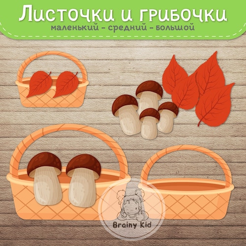 Листочки и грибочки [маленький-средний-большой]