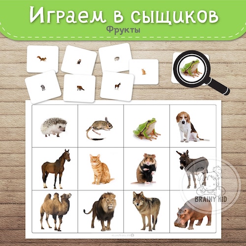 Играем в сыщиков: животные