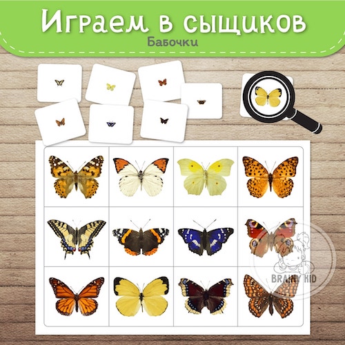 Играем в сыщиков: бабочки