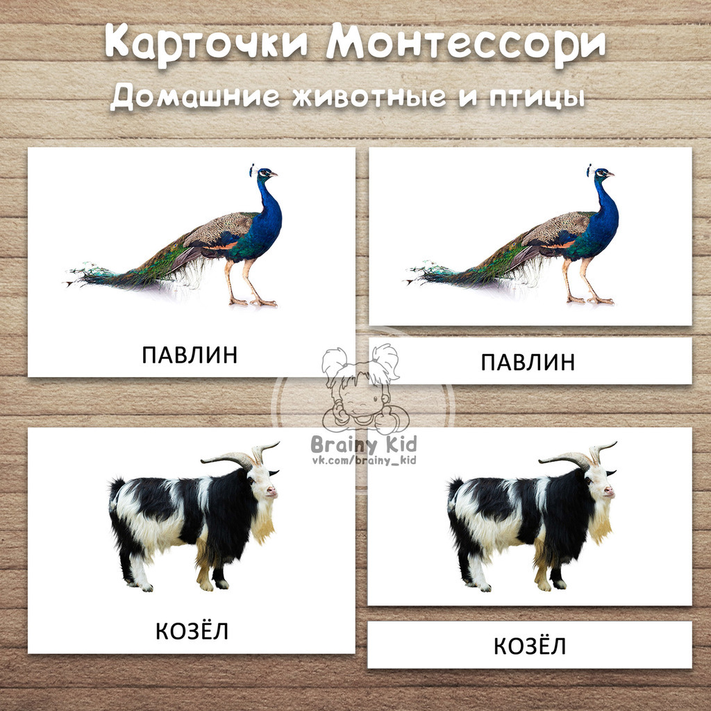 Карточки Монтессори - Домашние животные и птицы