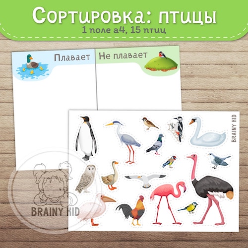 СОРТИРОВКА: птицы [плавает/не плавает]