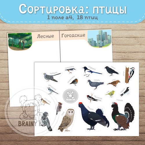 СОРТИРОВКА: птицы [лесные/городские]
