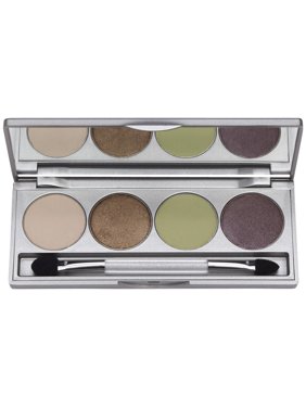 Тени Colorescience Enchanted earth 9.6г