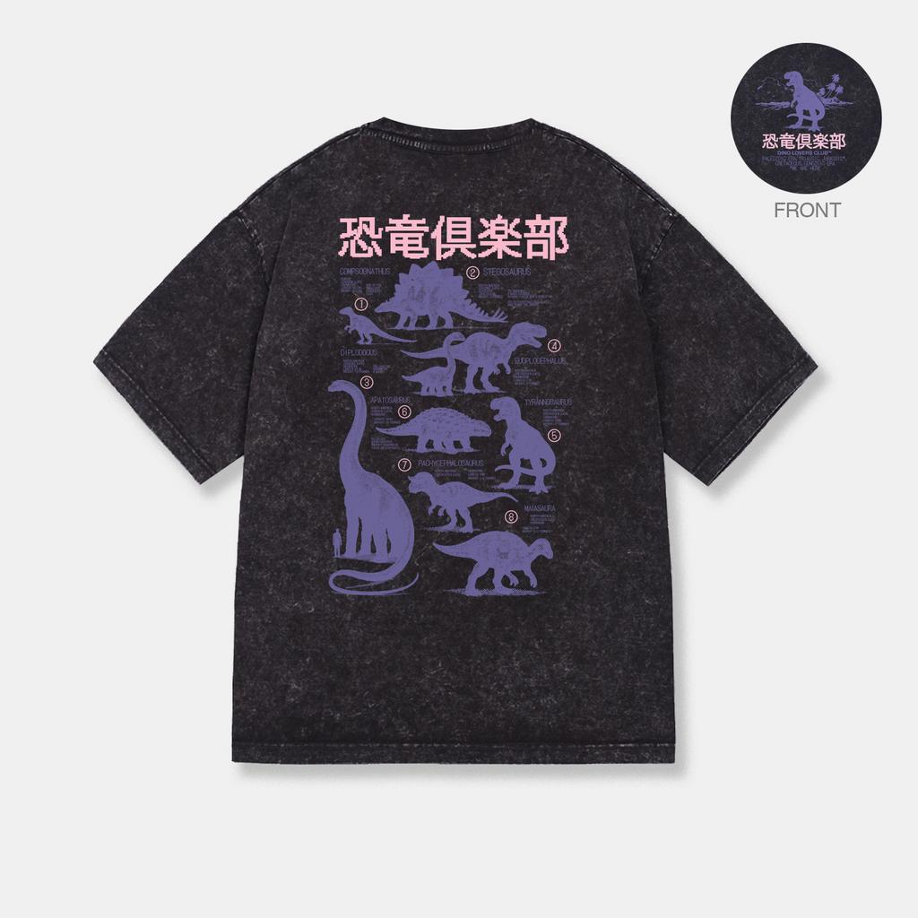 ФУТБОЛКА T-REX STONE WASHED BLACK