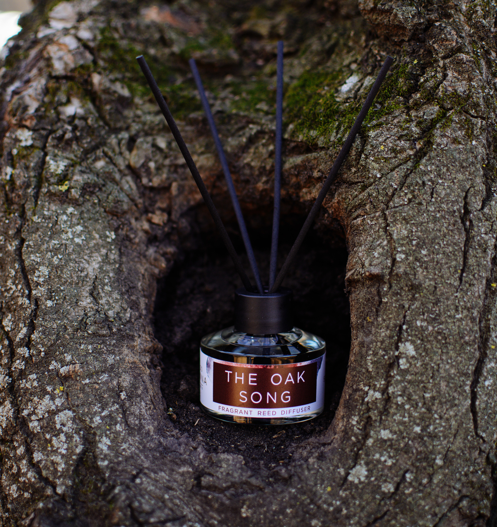 ДИФФУЗОР THE OAK SONG/ПЕСНЯ ЛЕСА
