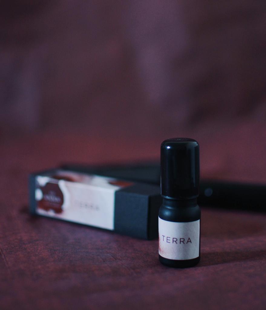 БЛЕНД TERRA мини