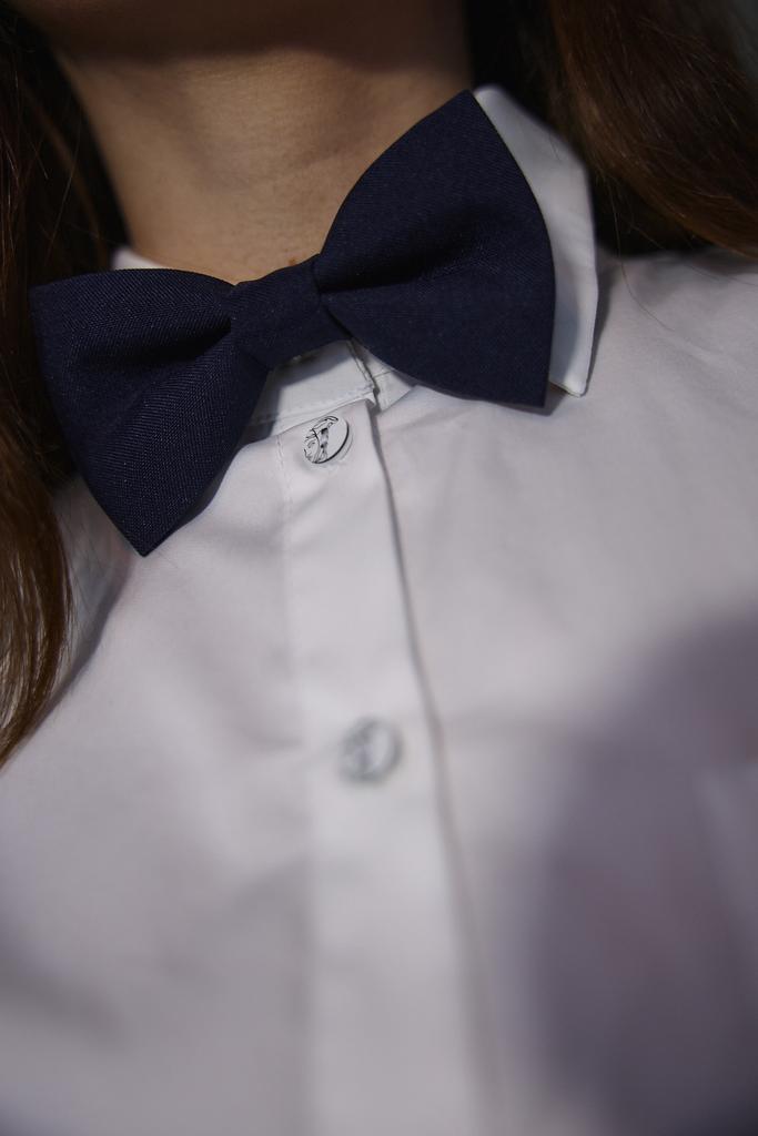 Бабочка  синяя