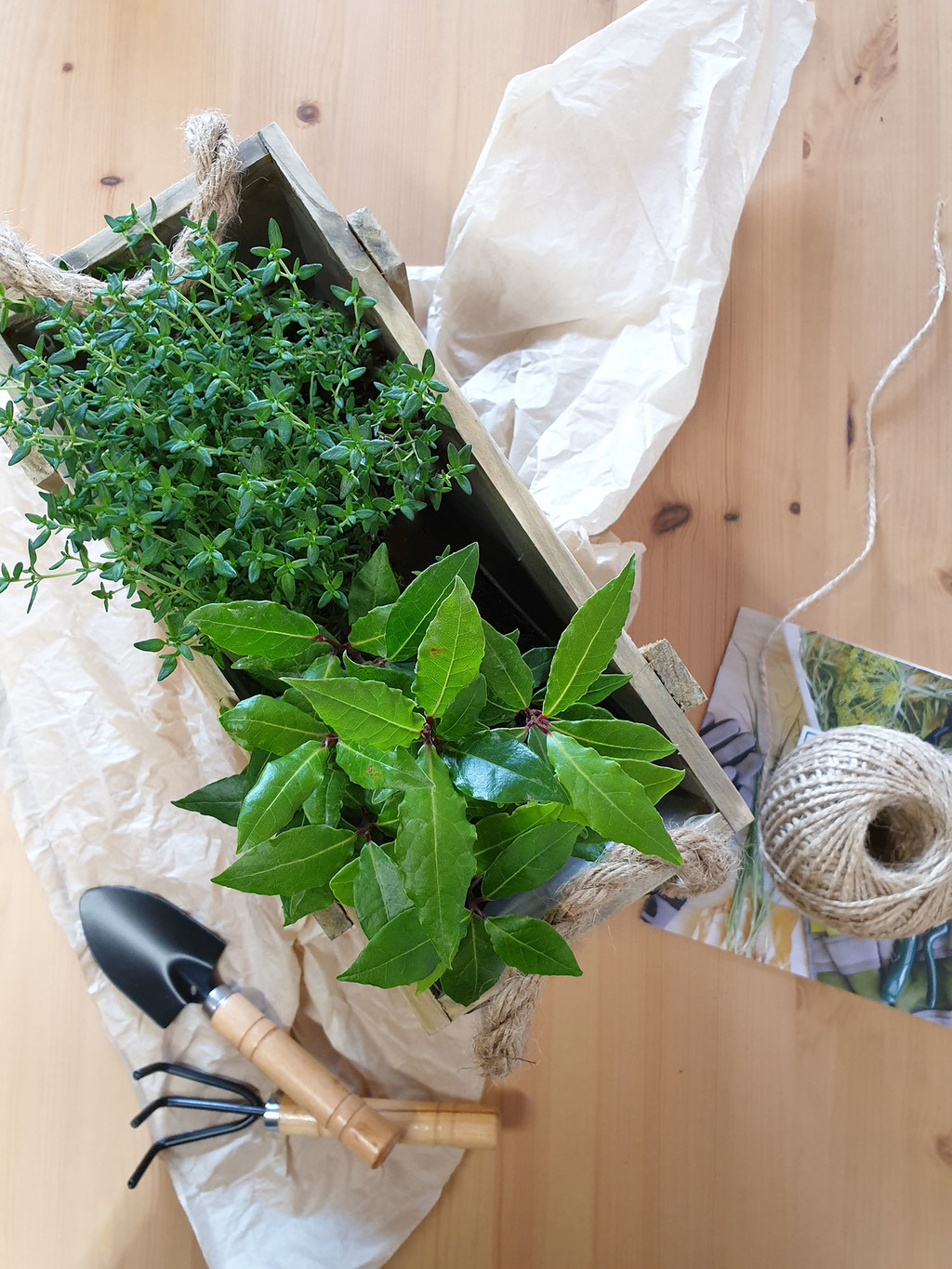 Садовый mix из пряных трав с лавром