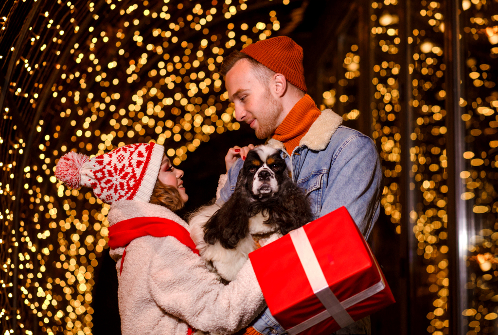 ВИДЕО-УРОК по созданию INSTA-открыток + набор музыки (ПОДХОДИТ ТОЛЬКО ДЛЯ iOS)