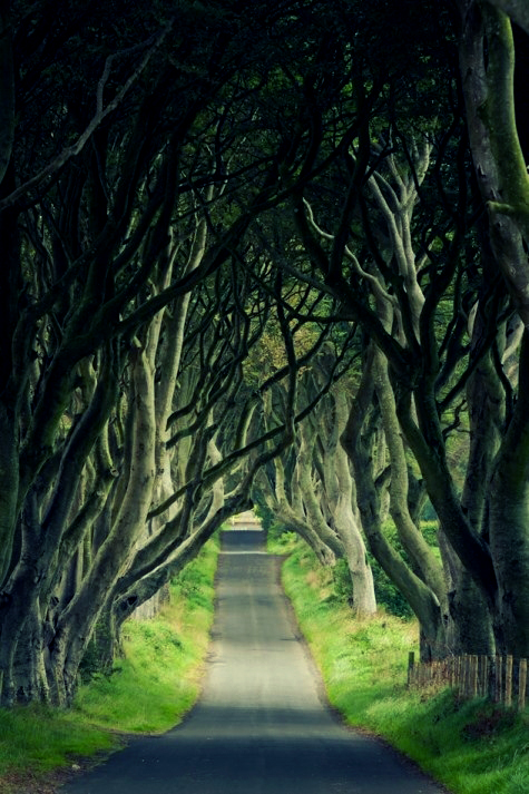 Темная аллея