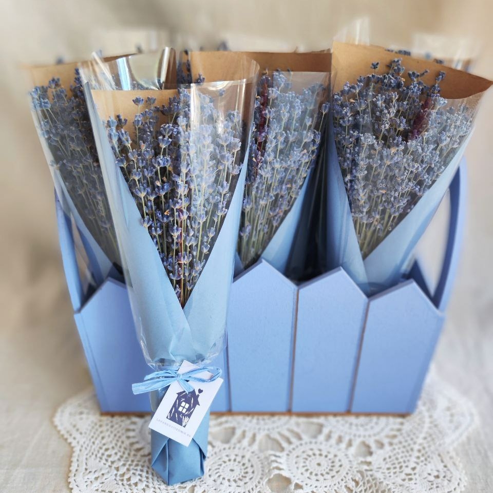 Мини-пучки лаванды высота 24-26 см