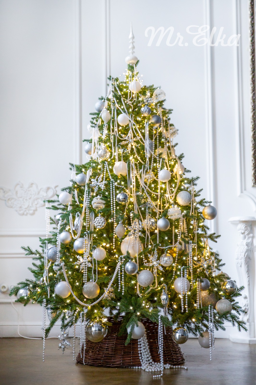 Ёлка "Графиня Дюббари"