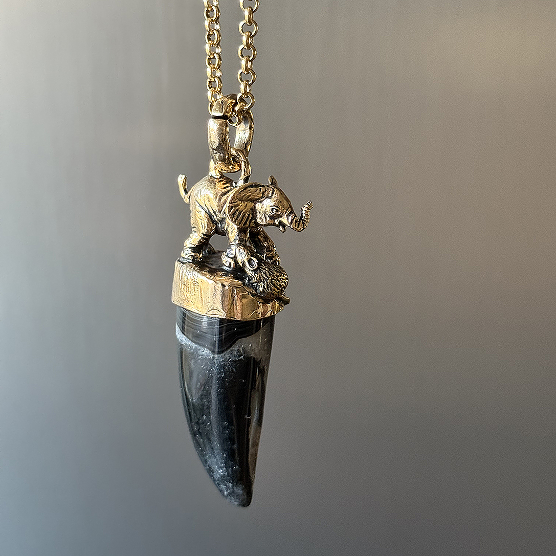 Колье с ботсванским агатом ALCOZER & J C98CM24