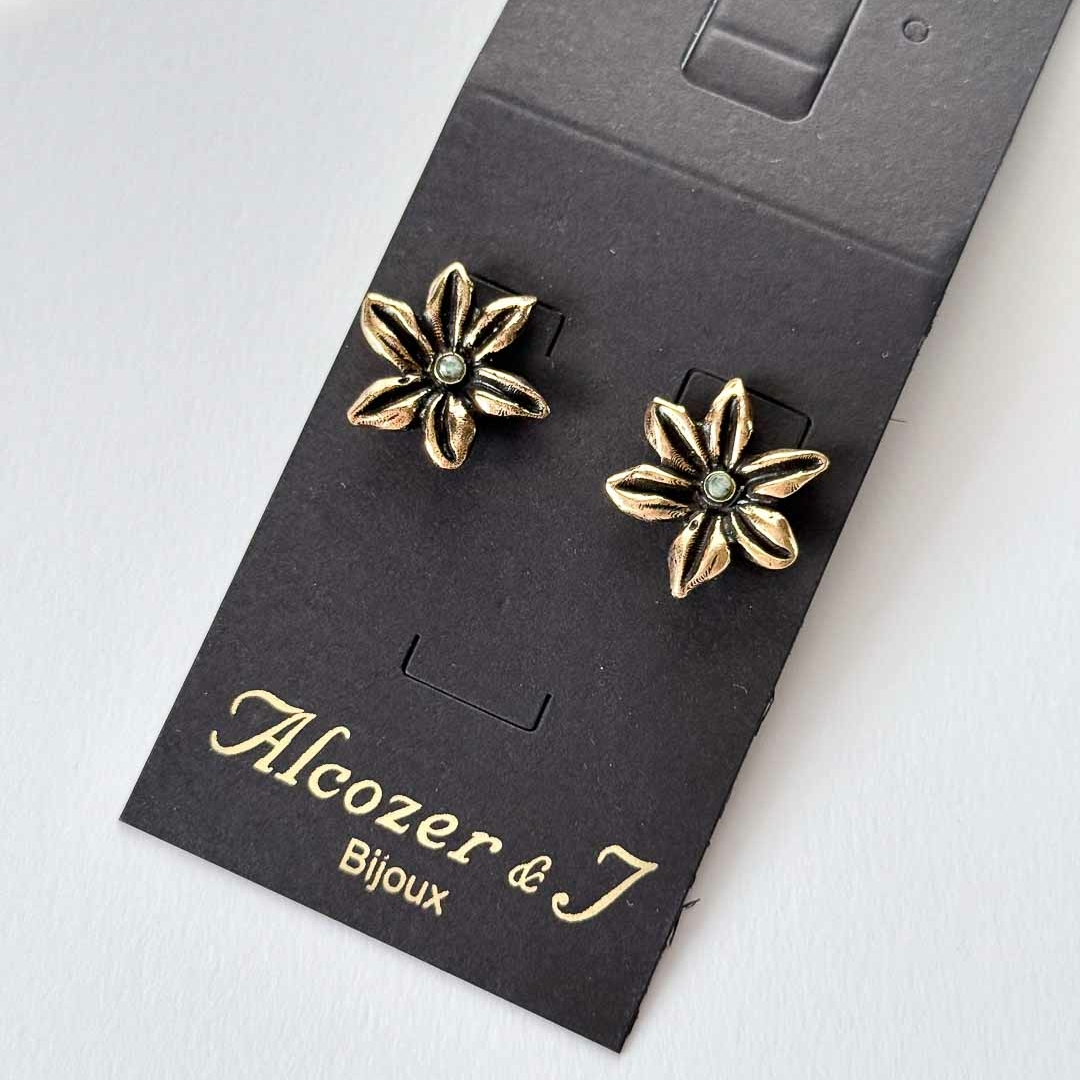 Серьги ALCOZER & J O28CM24