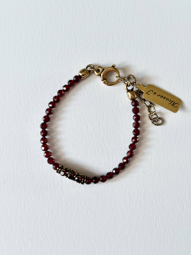 Браслет с гранатом ALCOZER & J B48FU24