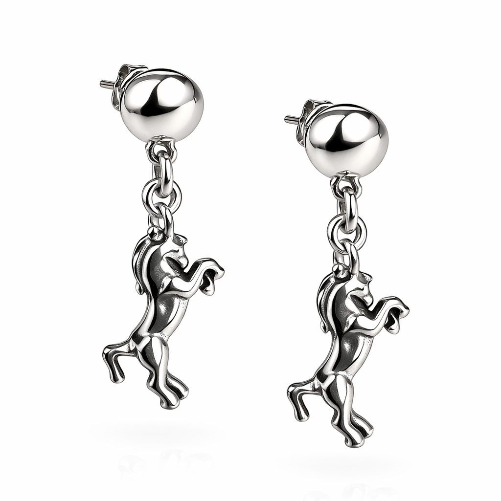 Серьги Ciclon RUS601