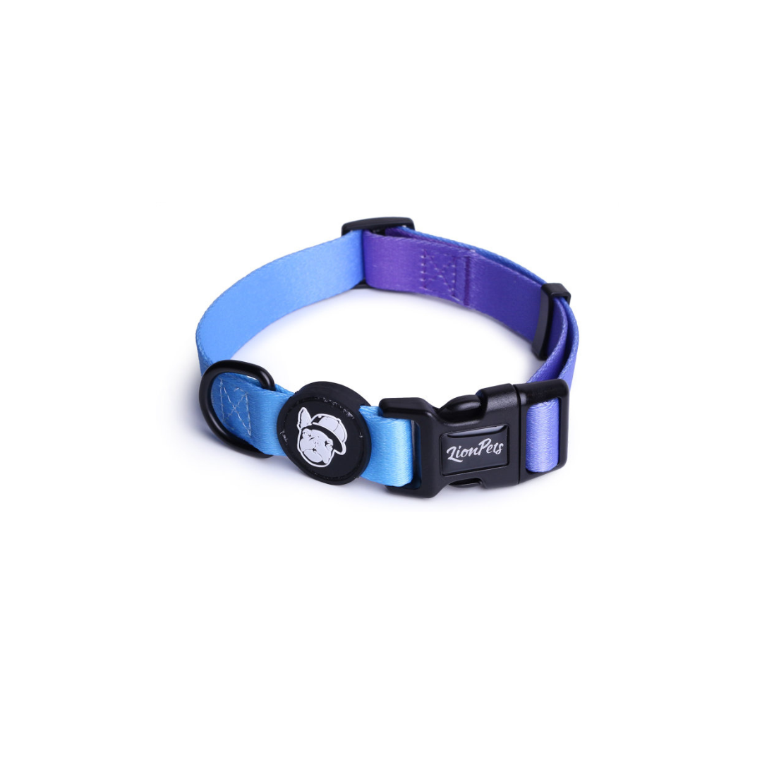 Ошейник для собак LionPets градиент