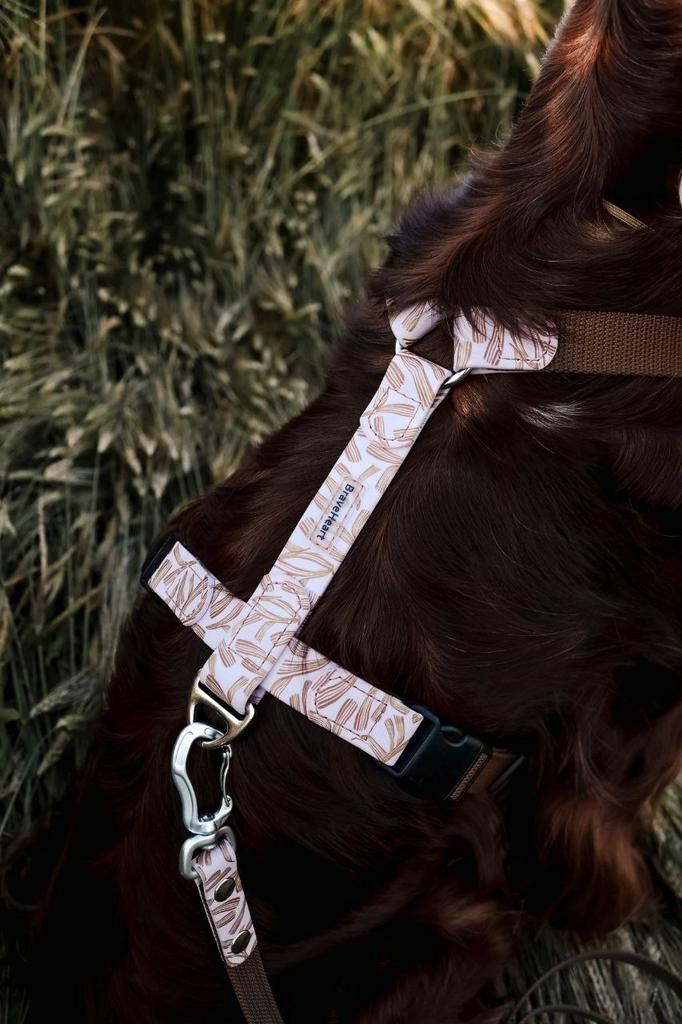 Шлейка VEGA "Вереск"