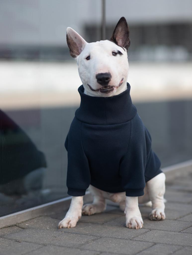 Худи Sonita синий