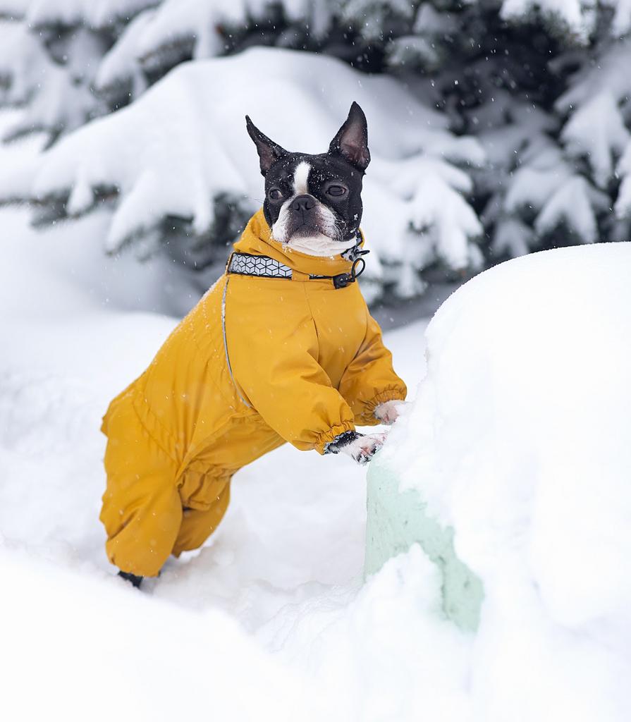 Комбинезон (мембрана/флис) Sonita жёлтый