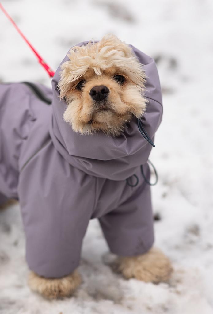 Комбинезон на флисе Sonita Лавандовый