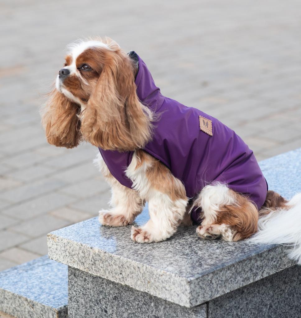 Закрытый жилет (мембрана/флис) Sonita фиолетовый