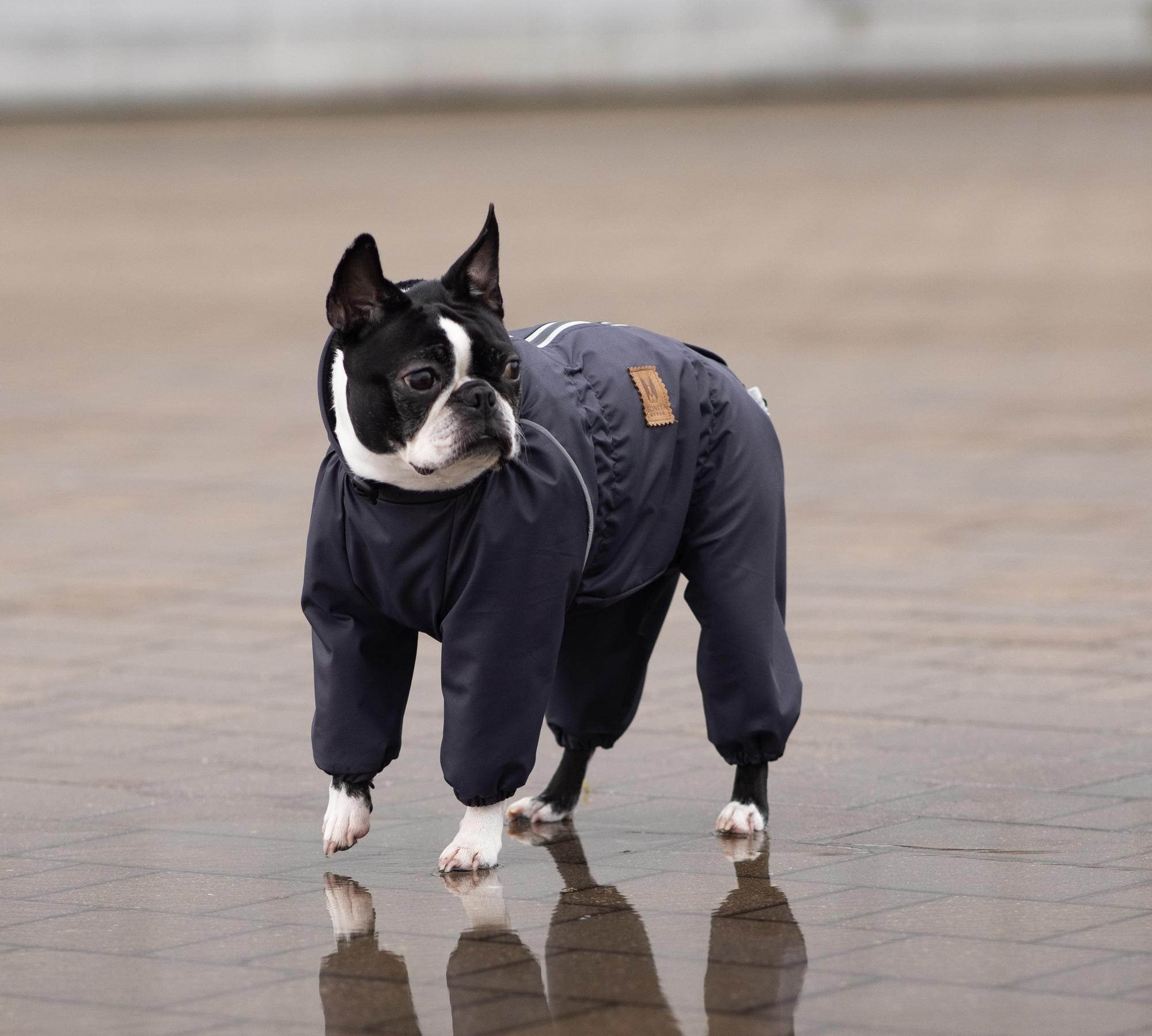 Комбинезон с тонким подкладом Sonita графит