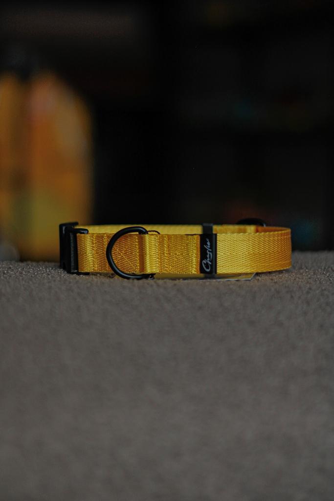 Ошейник Yellow 37-53 см