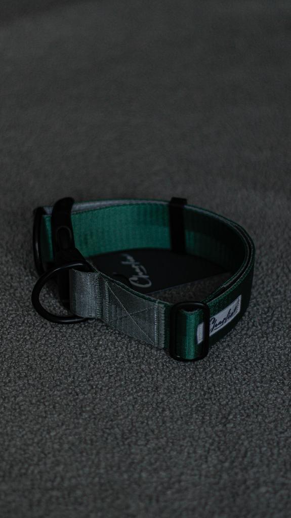 Ошейник Gray&Green 45-60 см