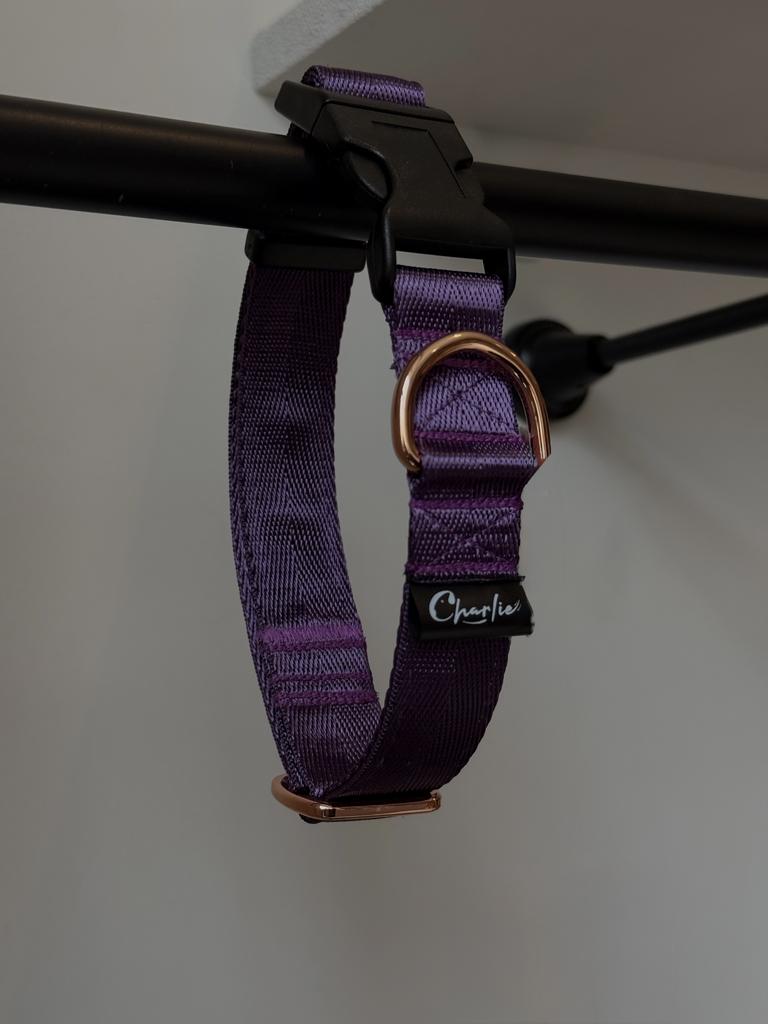 Ошейник Violet