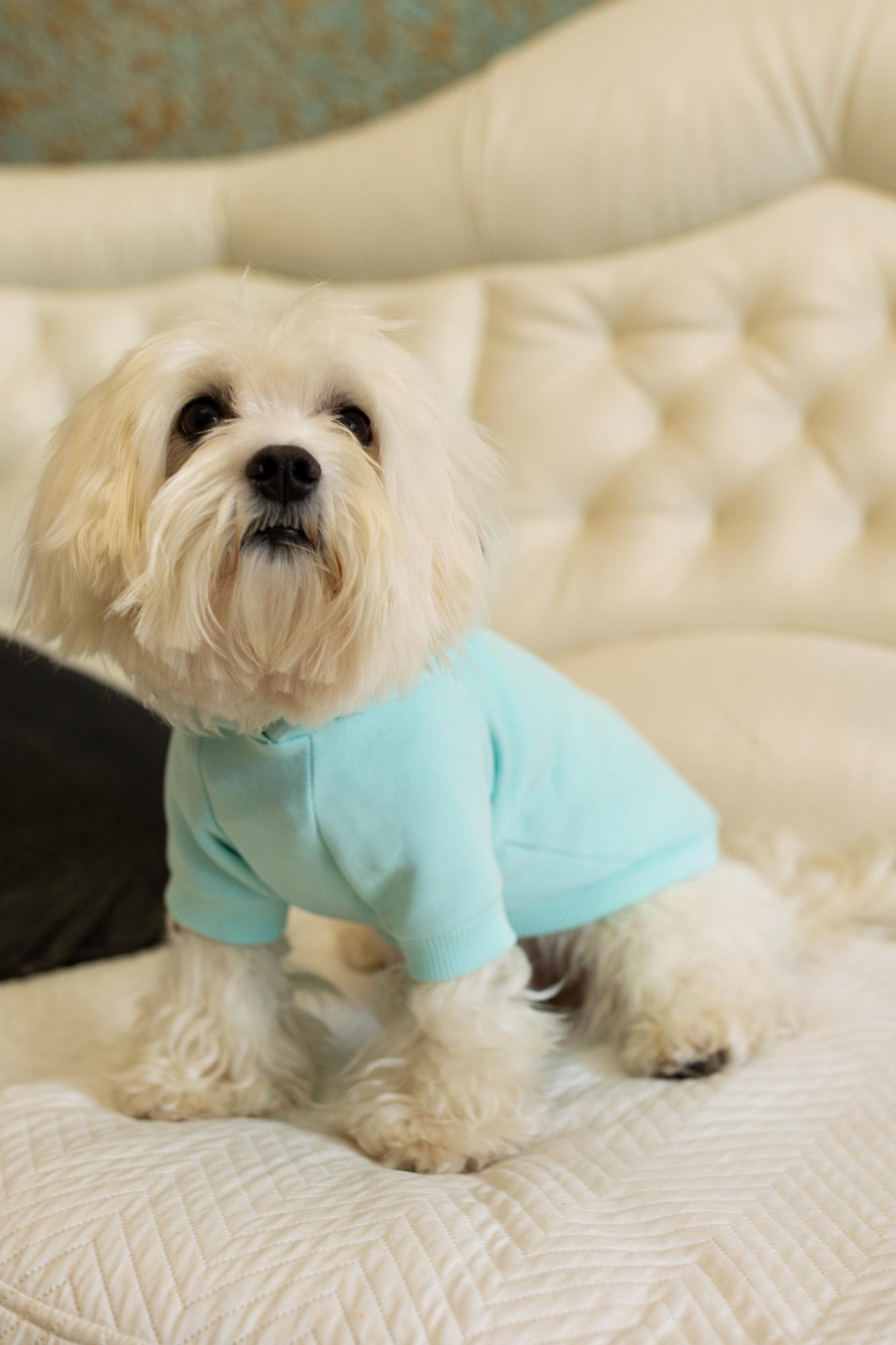 Худи Sonita светло-голубой