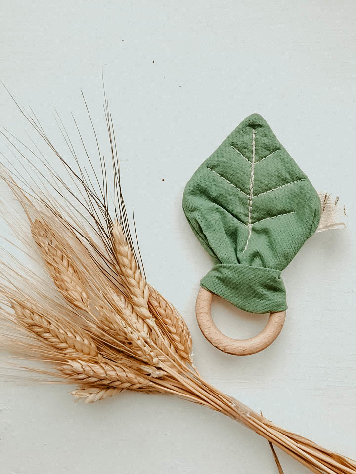 Грызунок хлопковый пыльно-зелёный