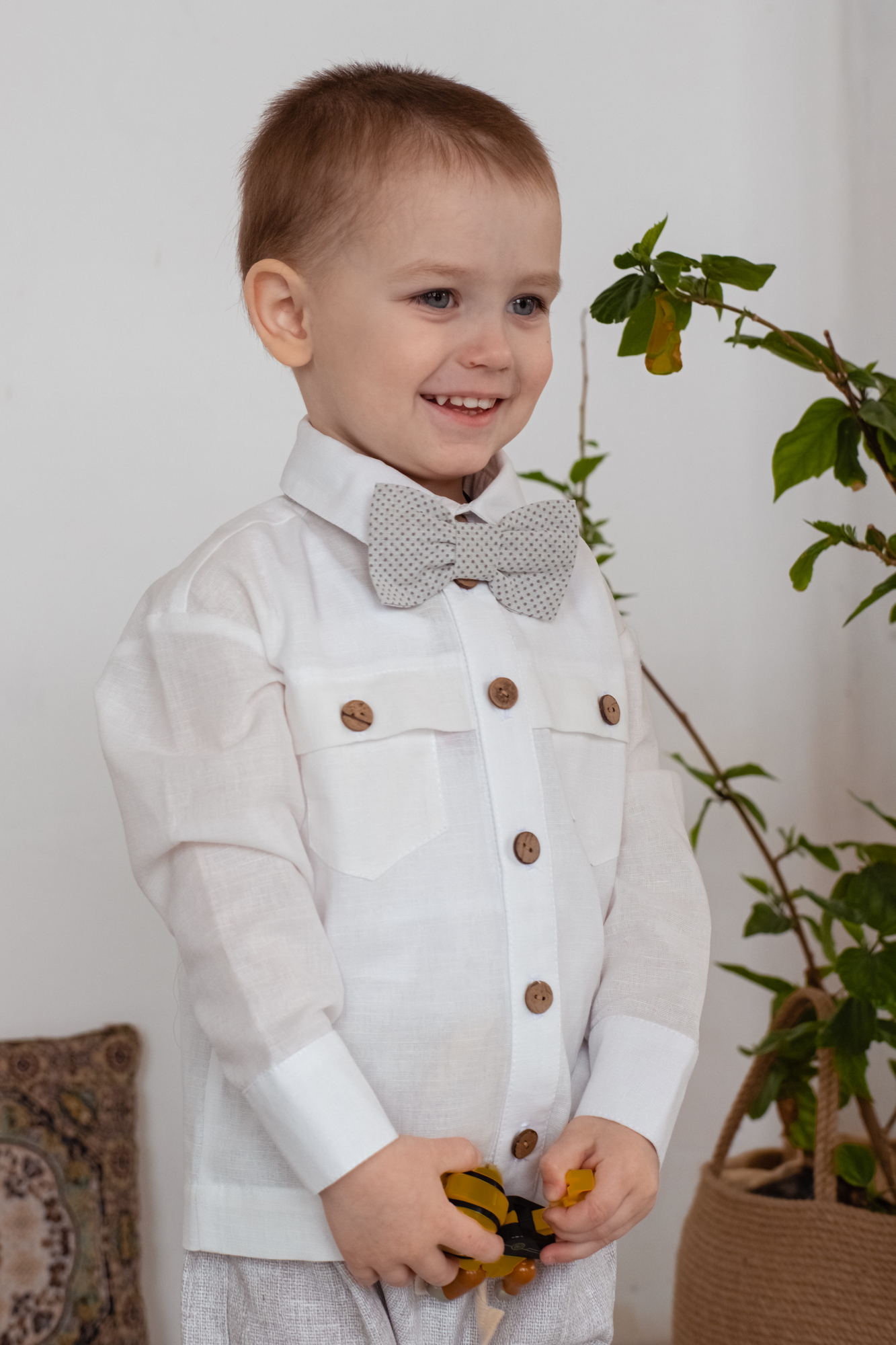 Бабочка льняная серая в мелкий горошек