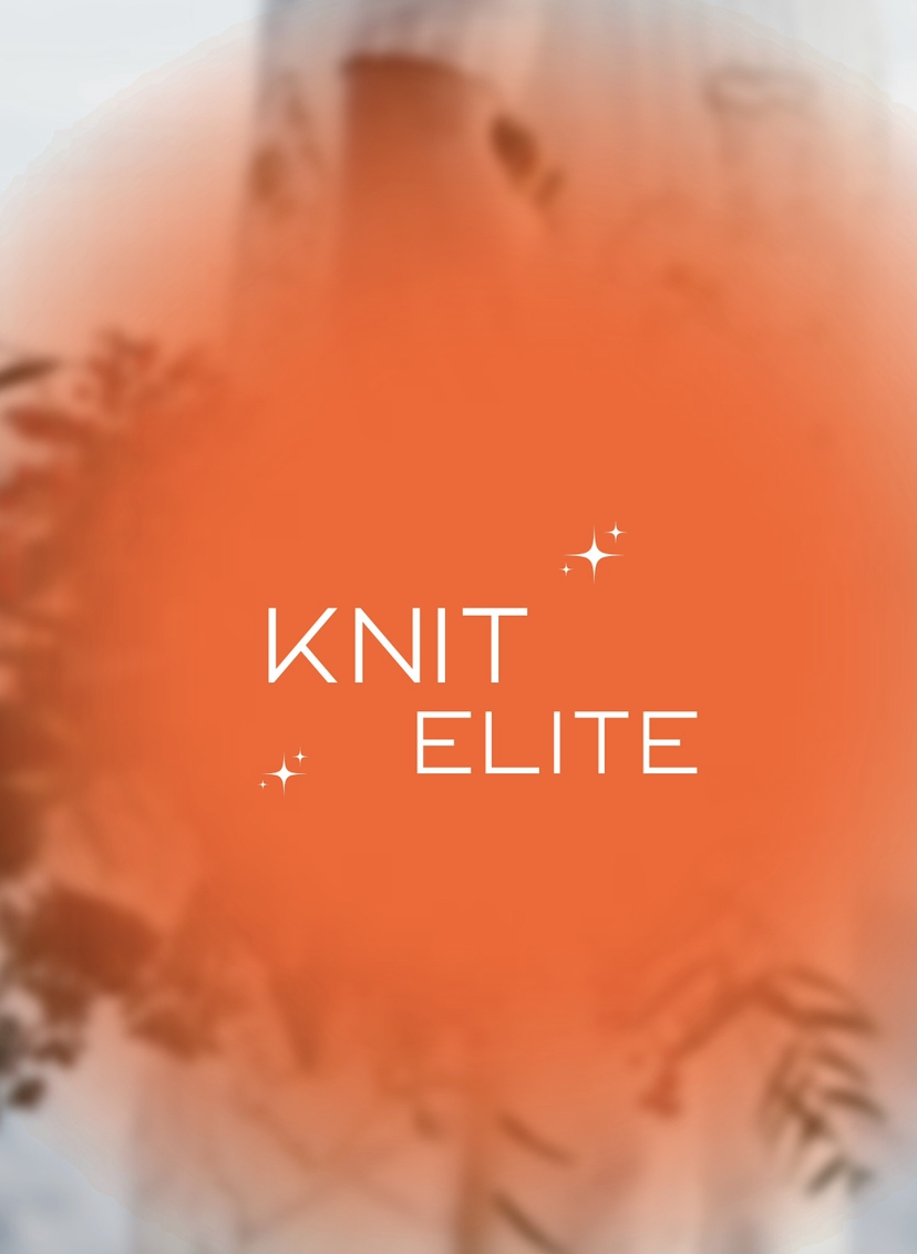 Участие в НИТЭЛИТ