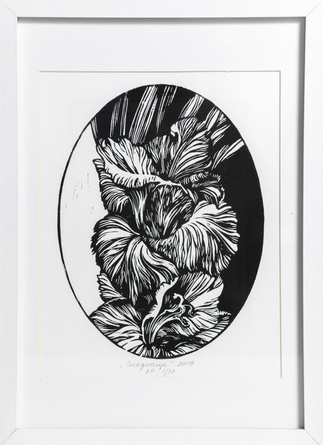 "Гладиолус" / линогравюра 14х19,5 см в паспарту и раме 23х32 см