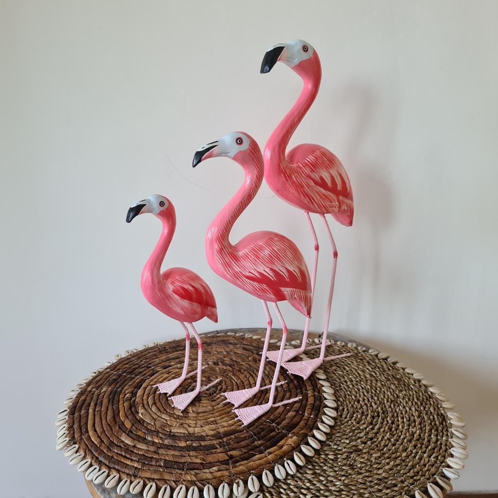 Фламинго малые