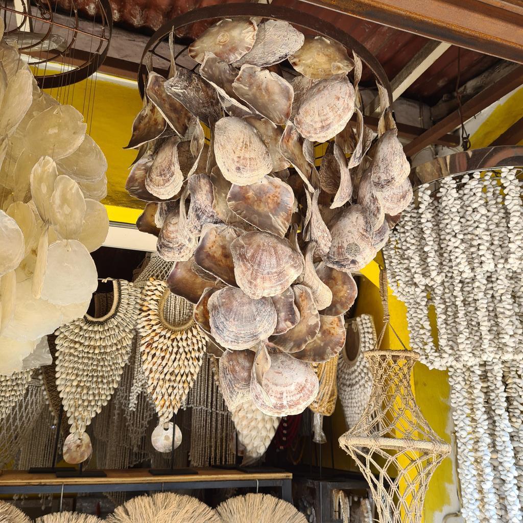 Люстра 53 Большие ракушки 60х80