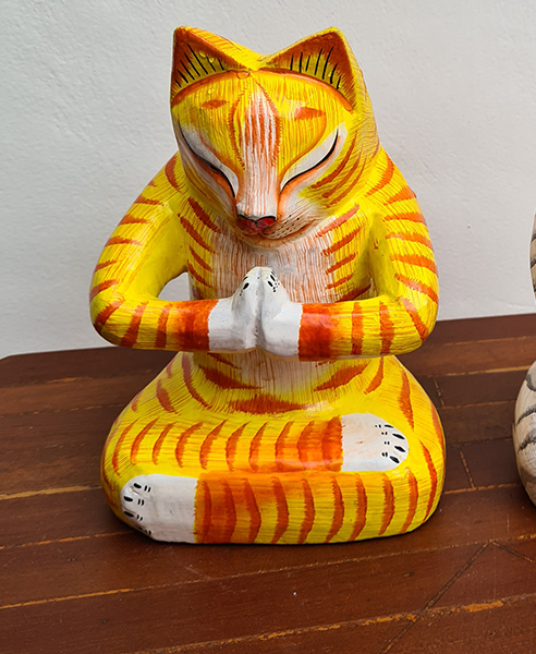 Рыжий кот лотос