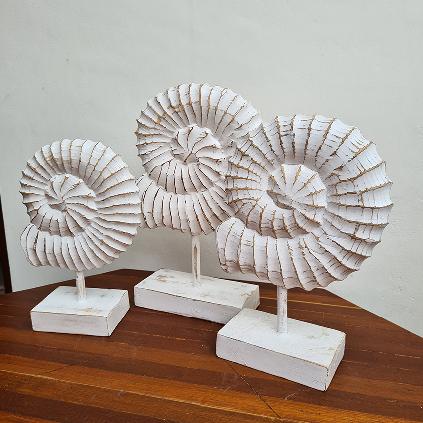 Наутилусы 3шт