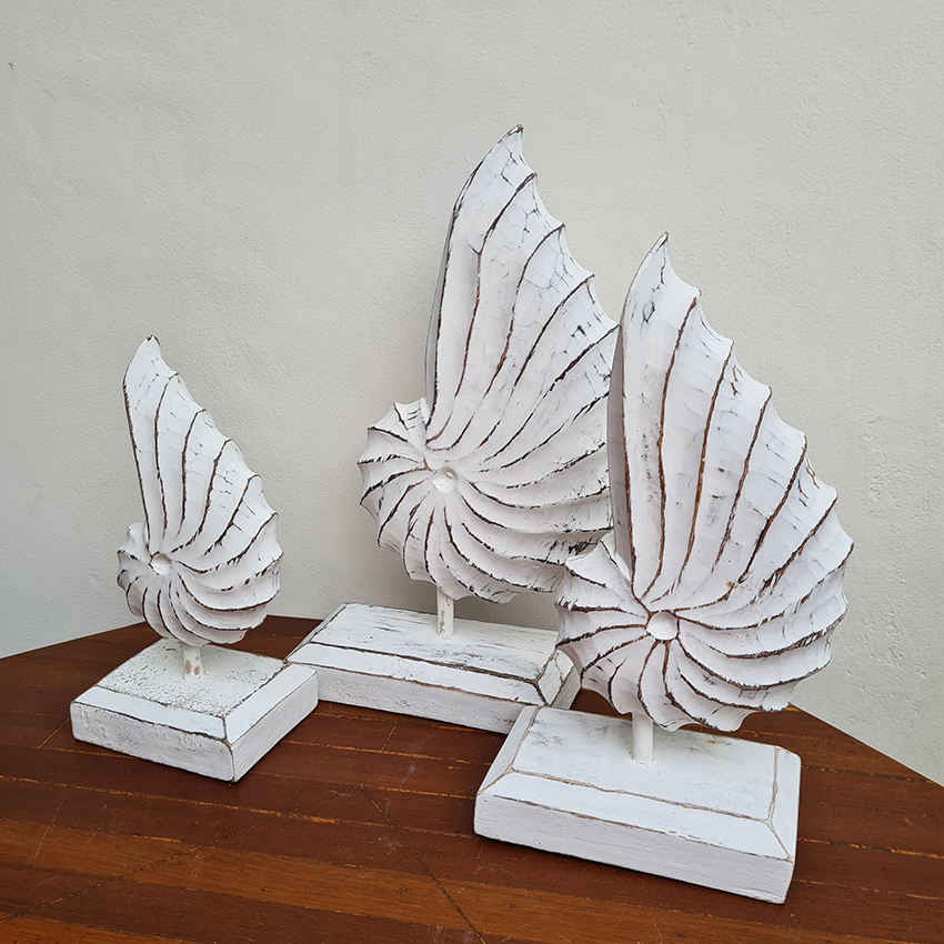 Раковина малюсков 3шт