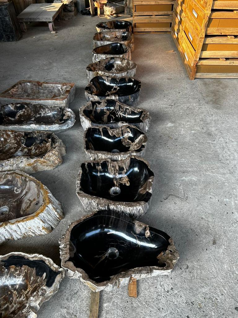 Раковины из Окаменелого дерева