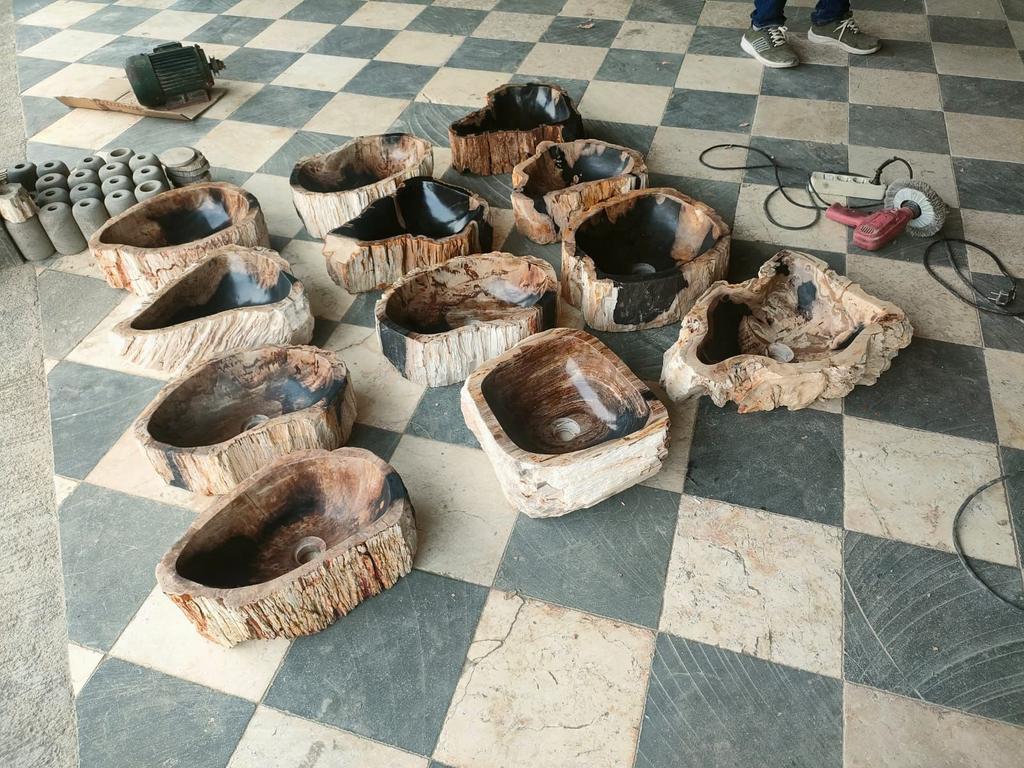 Раковины из Окаменелого дерева 2