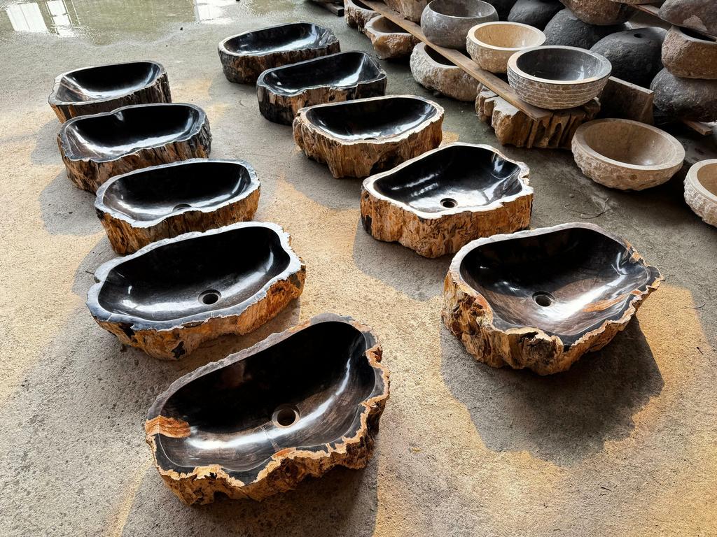 Раковины из Окаменелого дерева 3