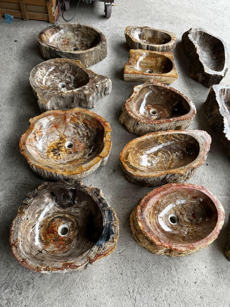 Раковины из Окаменелого дерева 4