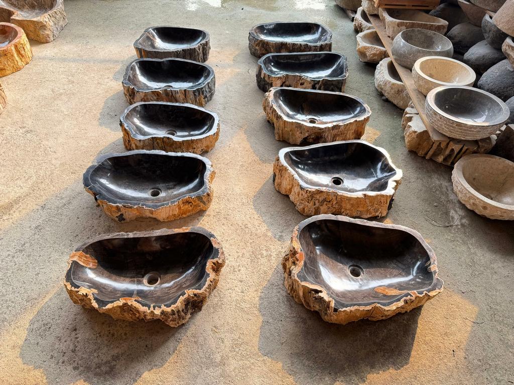 Раковины из Окаменелого дерева 5