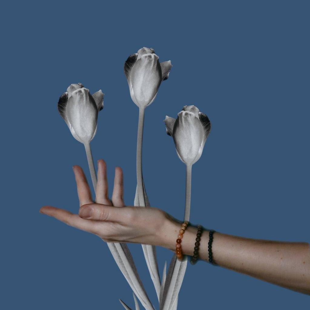 Мишень_3 месяца