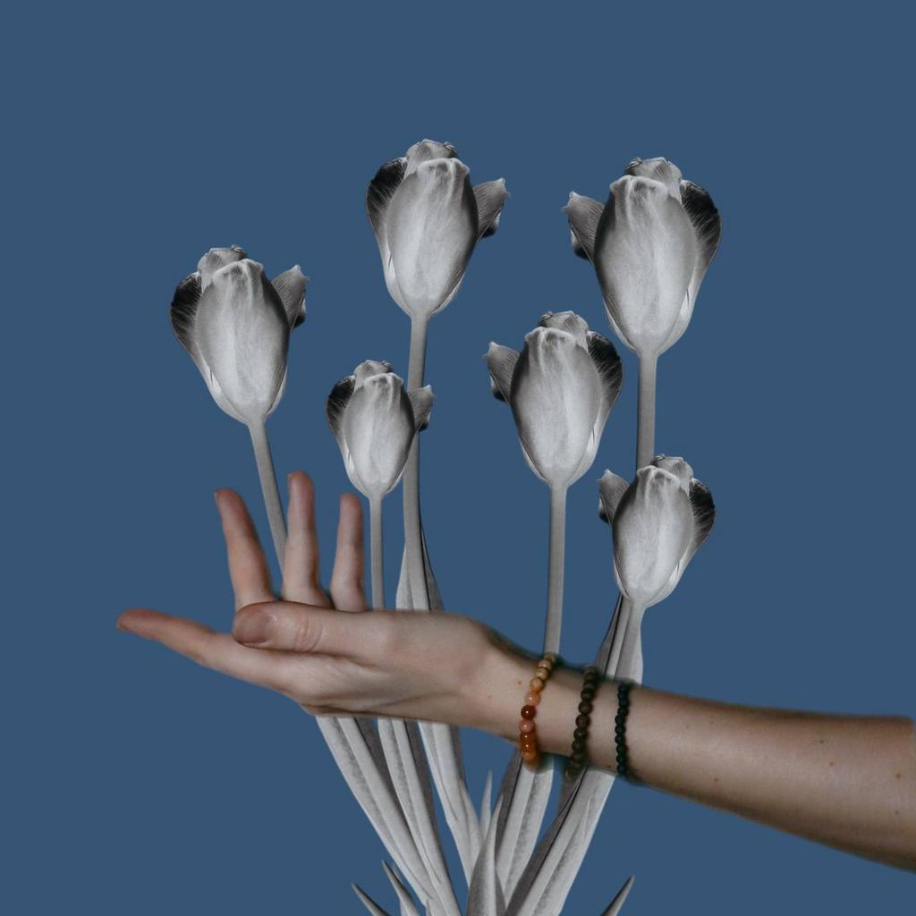 Мишень_6 месяцев