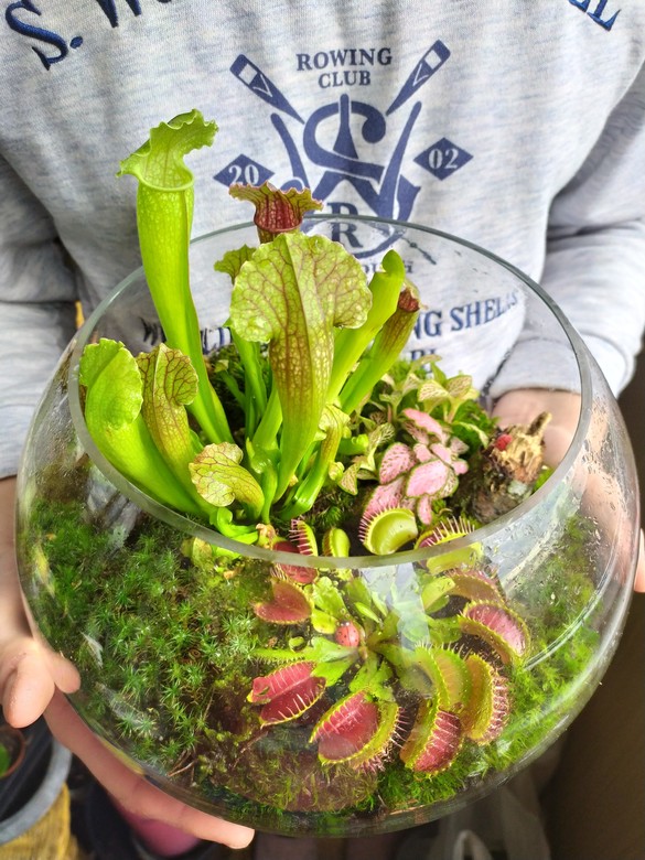 Хищная ферма №1